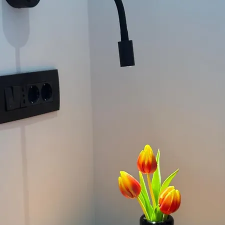 Apartment Manina - Boutique & Cozy Retreat Dubrovnik