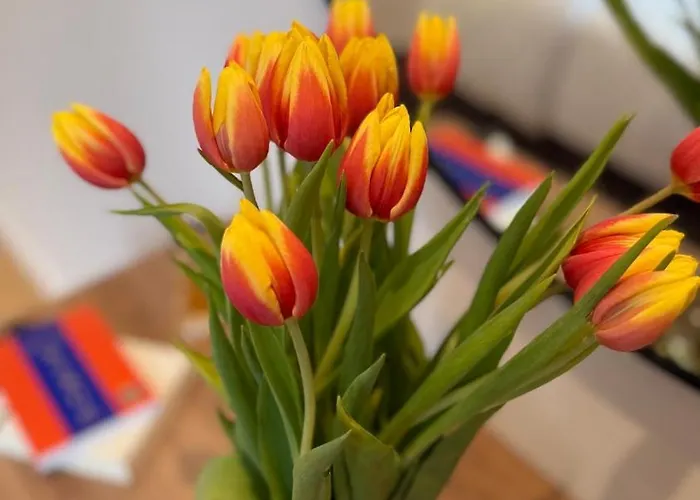 Manina - Boutique & Cozy Retreat Appartamento *