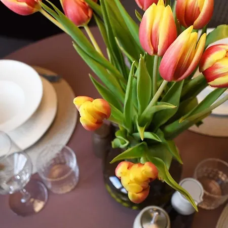 Manina - Boutique & Cozy Retreat Dubrovnik